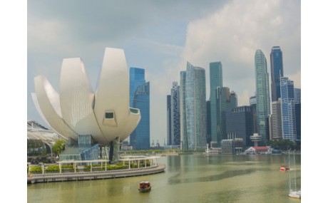 新加坡雇主擔保移民